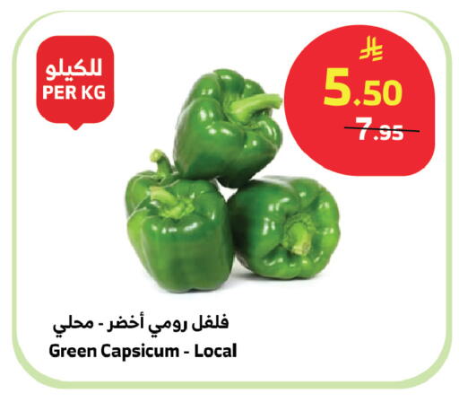 Green Capsicum available at Al Raya in KSA, Saudi Arabia, Saudi - Abha