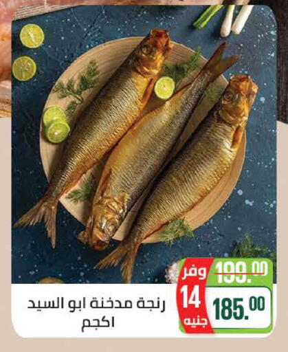 available at Seoudi Supermarket in Egypt - Cairo