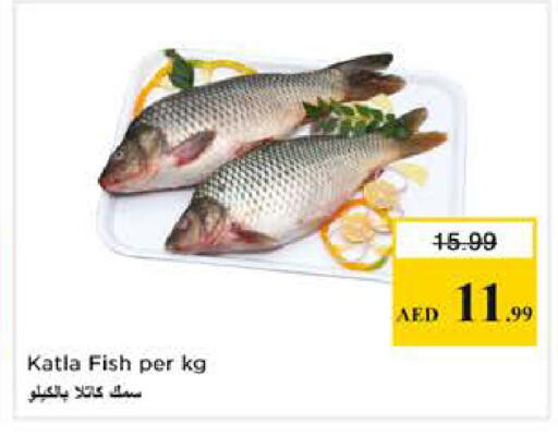 available at نستو هايبرماركت in الإمارات العربية المتحدة , الامارات - الشارقة / عجمان