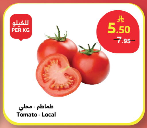 Tomato available at الراية in مملكة العربية السعودية, السعودية, سعودية - المدينة المنورة