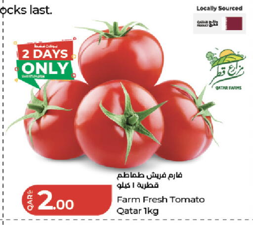 Tomato from Qatar available at لولو هايبرماركت in قطر - الريان