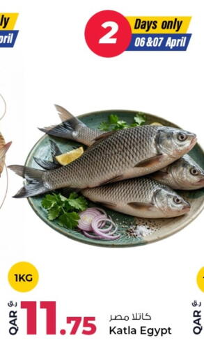available at روابي هايبرماركت in قطر - الشحانية