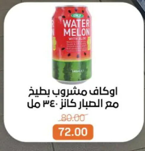 Melon available at Beit El Gomla in Egypt - Cairo