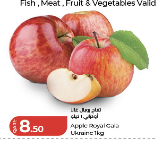 Apple from Ukraine available at لولو هايبرماركت in قطر - الخور