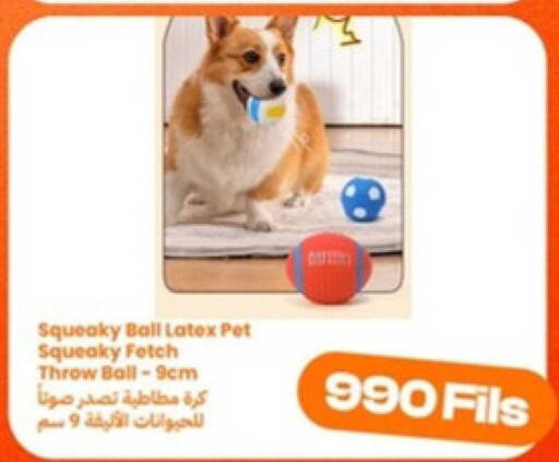 available at توصيل  in الكويت - محافظة الجهراء