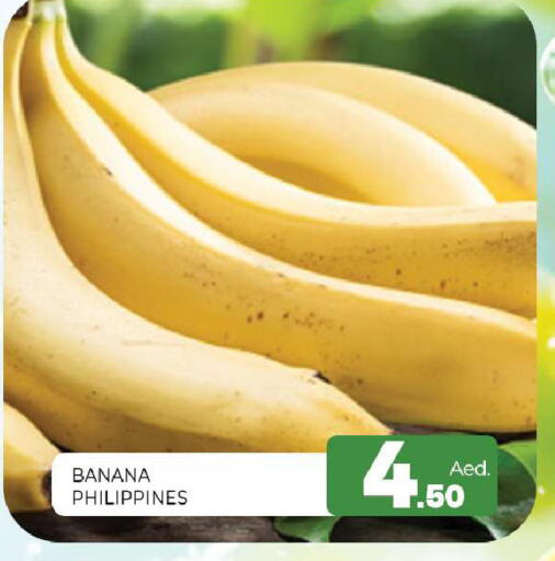 Banana available at Al Madina  in UAE - Sharjah / Ajman