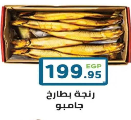 available at هايبر ماركت دريم in Egypt - القاهرة
