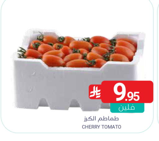 Cherry Cherry tomato available at Muntazah Markets in KSA, Saudi Arabia, Saudi - Qatif
