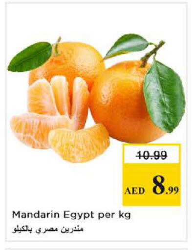 Mandarin from Egypt available at Nesto Hypermarket in UAE - Dubai