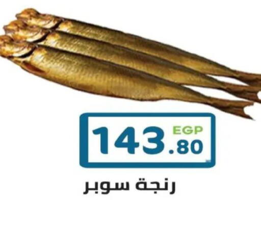 available at هايبر ماركت دريم in Egypt - القاهرة