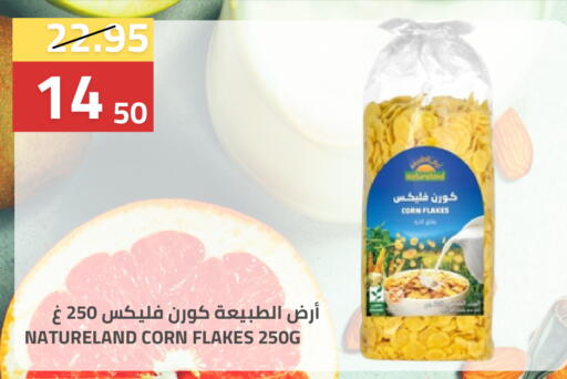 available at أسواق أسترا in مملكة العربية السعودية, السعودية, سعودية - تبوك