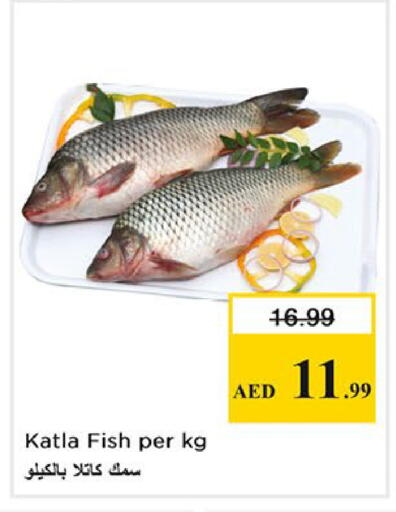 available at نستو هايبرماركت in الإمارات العربية المتحدة , الامارات - الشارقة / عجمان