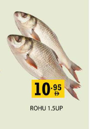 available at زين مارت سوبرماركت in الإمارات العربية المتحدة , الامارات - رَأْس ٱلْخَيْمَة