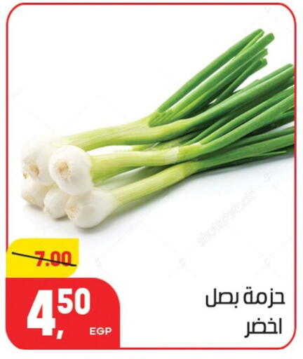 available at هايبر المنصورة in Egypt - القاهرة