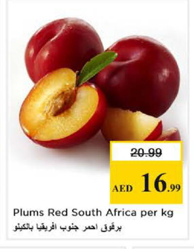 Plums from South Africa available at Nesto Hypermarket in UAE - Dubai