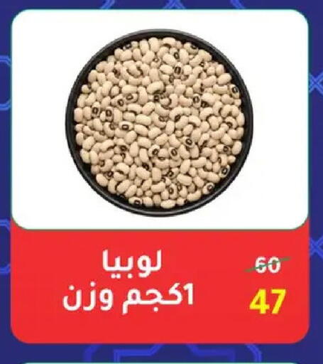 available at Wekalet Elmansoura - Dakahlia  in Egypt - Cairo