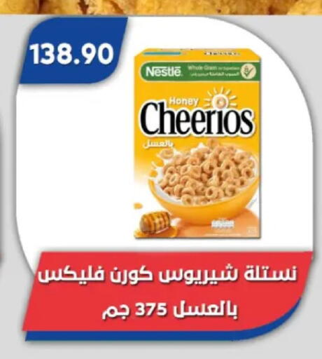 available at Bassem Market in Egypt - Cairo