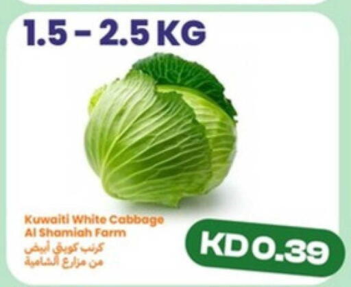 Cabbage from Kuwait available at توصيل  in الكويت - محافظة الجهراء