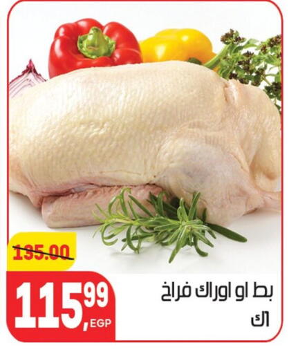 available at هايبر المنصورة in Egypt - القاهرة