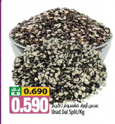 Mango available at مانجو هايبرماركت in الكويت - محافظة الأحمدي