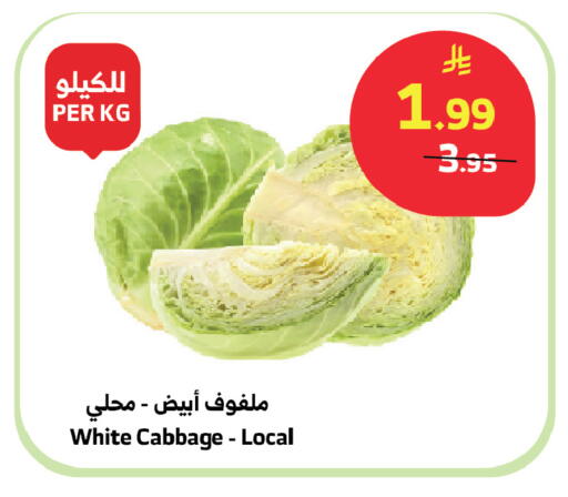Cabbage available at Al Raya in KSA, Saudi Arabia, Saudi - Jazan