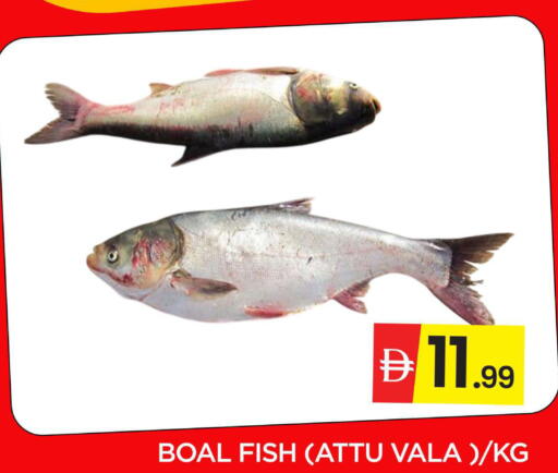 available at المدينة in الإمارات العربية المتحدة , الامارات - دبي