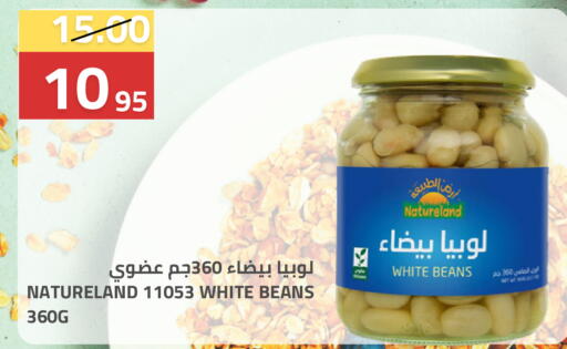 available at أسواق أسترا in مملكة العربية السعودية, السعودية, سعودية - تبوك
