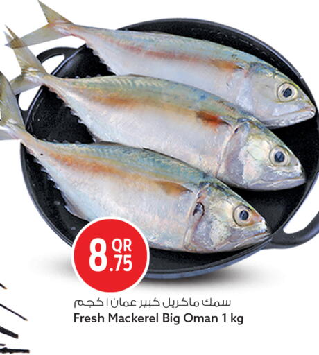 available at سفاري هايبر ماركت in قطر - الخور