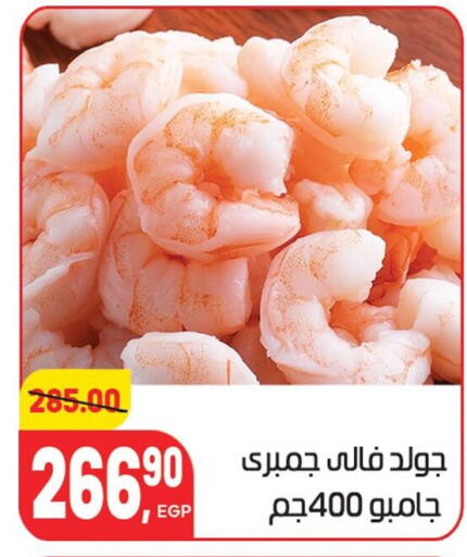 available at Hyper El Mansoura Shobra in Egypt - Cairo