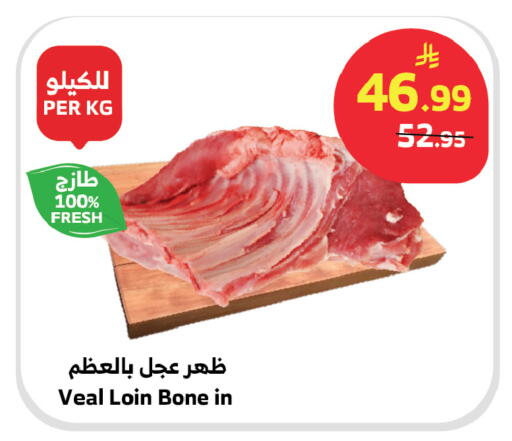 available at Al Raya in KSA, Saudi Arabia, Saudi - Al Qunfudhah
