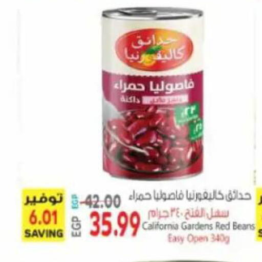 available at New.Penny.market in Egypt - Cairo