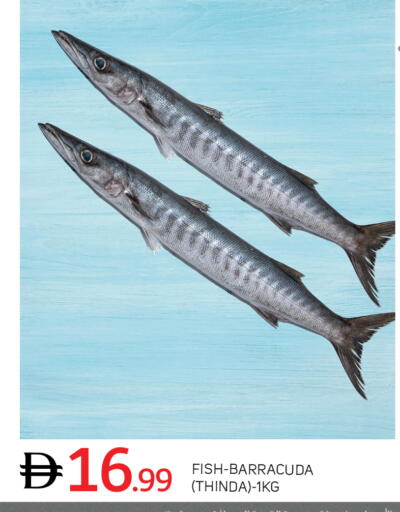 available at سوق طلال in الإمارات العربية المتحدة , الامارات - أبو ظبي