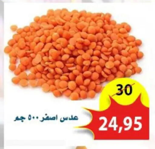 available at اسواق البدر in Egypt - القاهرة