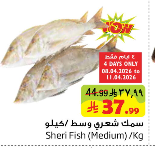 available at Layan Hyper in KSA, Saudi Arabia, Saudi - Dammam