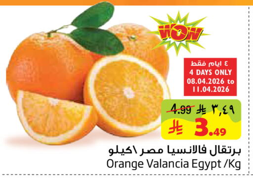 Orange from Valancia Egypt available at Layan Hyper in KSA, Saudi Arabia, Saudi - Dammam