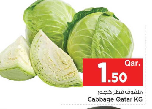 Cabbage from Qatar available at مارك & سيف in قطر - الدوحة