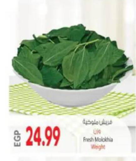 available at New.Penny.market in Egypt - Cairo