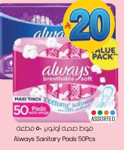 available at City Flower in KSA, Saudi Arabia, Saudi - Arar