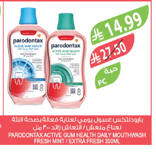 Mint available at Farm  in KSA, Saudi Arabia, Saudi - Al Bahah