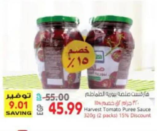 Tomato available at ماركت بني الجديد in Egypt - القاهرة