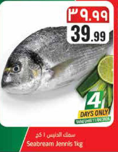 available at ستي فلاور in مملكة العربية السعودية, السعودية, سعودية - حائل‎