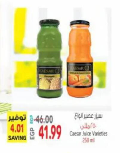 available at New.Penny.market in Egypt - Cairo