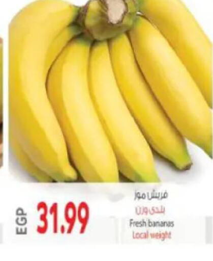 available at New.Penny.market in Egypt - Cairo