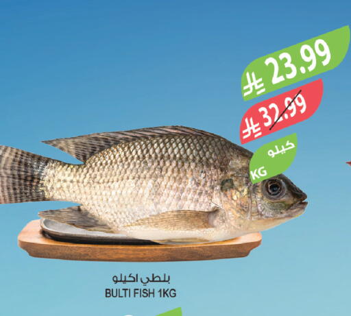 available at المزرعة in مملكة العربية السعودية, السعودية, سعودية - الباحة