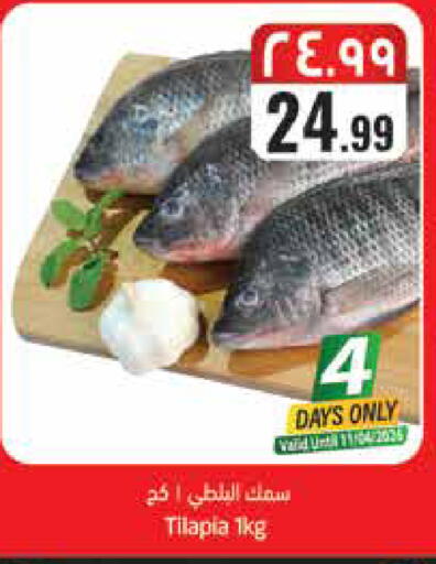 available at ستي فلاور in مملكة العربية السعودية, السعودية, سعودية - حائل‎