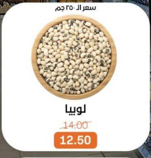 available at بيت الجملة in Egypt - القاهرة