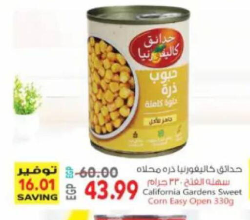 available at New.Penny.market in Egypt - Cairo