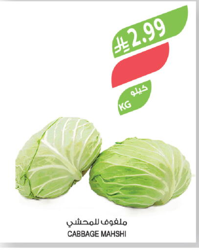 Cabbage available at Farm  in KSA, Saudi Arabia, Saudi - Al Khobar