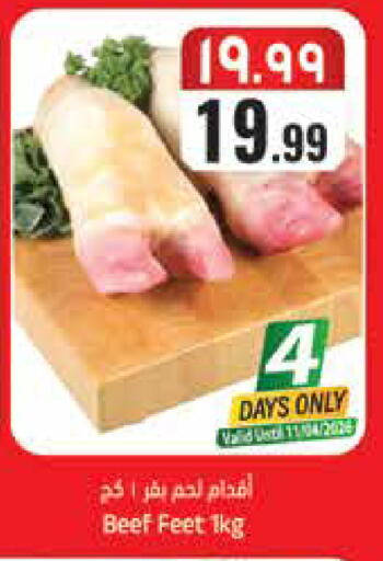 available at City Flower in KSA, Saudi Arabia, Saudi - Hail