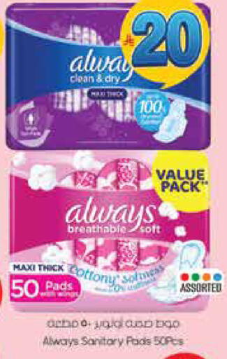 available at City Flower in KSA, Saudi Arabia, Saudi - Hail